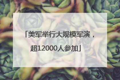 美军举行大规模军演，超12000人参加