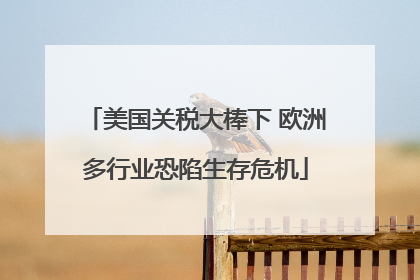 美国关税大棒下 欧洲多行业恐陷生存危机