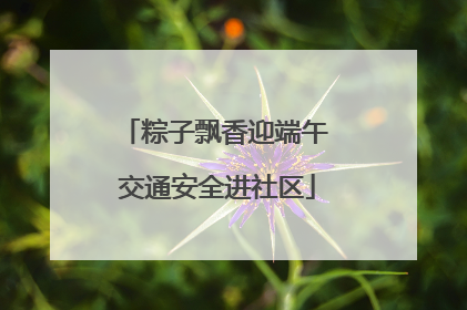 粽子飘香迎端午 交通安全进社区