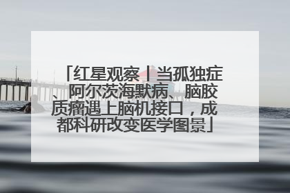 红星观察丨当孤独症、阿尔茨海默病、脑胶质瘤遇上脑机接口，成都科研改变医学图景
