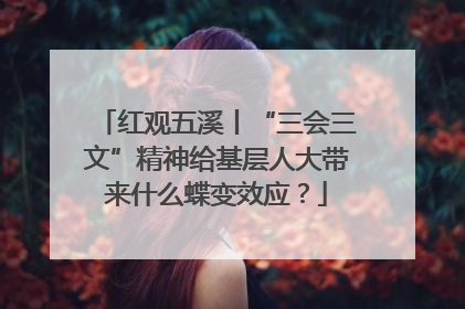 红观五溪丨“三会三文”精神给基层人大带来什么蝶变效应？