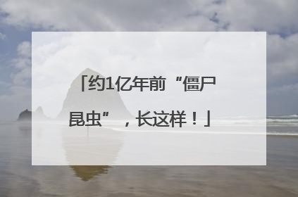 约1亿年前“僵尸昆虫”，长这样！