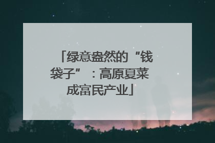 绿意盎然的“钱袋子”：高原夏菜成富民产业