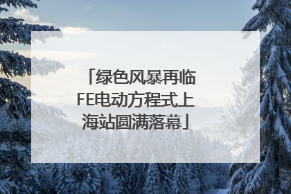 绿色风暴再临 FE电动方程式上海站圆满落幕
