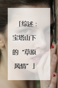 综述：宝塔山下的“草原风情”