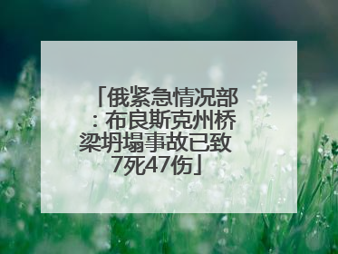 俄紧急情况部：布良斯克州桥梁坍塌事故已致7死47伤