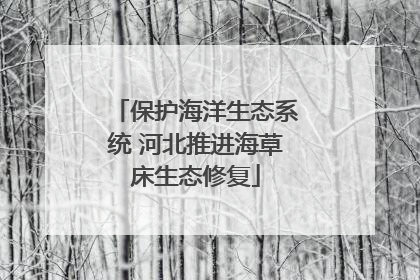 保护海洋生态系统 河北推进海草床生态修复