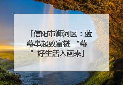 信阳市浉河区：蓝莓串起致富链 “莓”好生活入画来