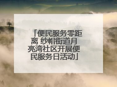 便民服务零距离 纱帽街道月亮湾社区开展便民服务日活动