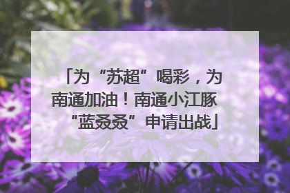 为“苏超”喝彩，为南通加油！南通小江豚“蓝叒叒”申请出战