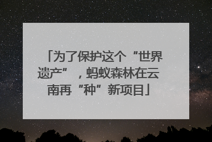 为了保护这个“世界遗产”，蚂蚁森林在云南再“种”新项目