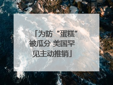 为防“蛋糕”被瓜分 美国罕见主动推销