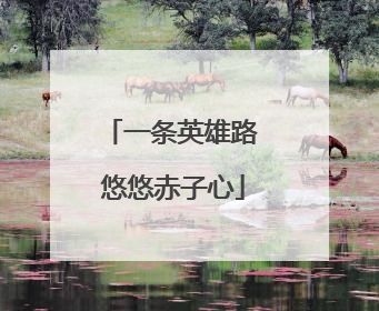 一条英雄路 悠悠赤子心