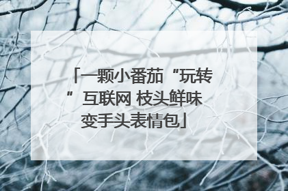 一颗小番茄“玩转”互联网 枝头鲜味变手头表情包