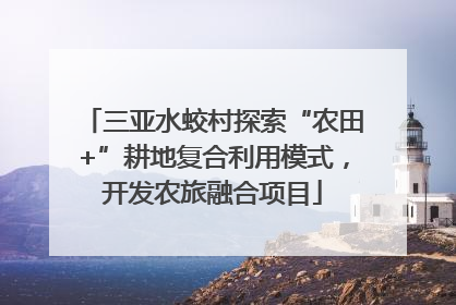 三亚水蛟村探索“农田+”耕地复合利用模式，开发农旅融合项目