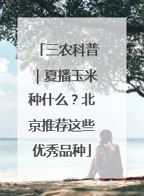 三农科普|夏播玉米种什么?北京推荐这些优秀品种