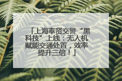 上海奉贤交警“黑科技”上线：无人机赋能交通处置，效率提升三倍！