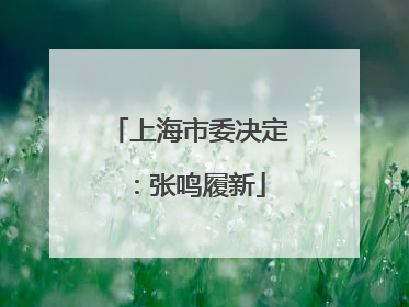 上海市委决定：张鸣履新
