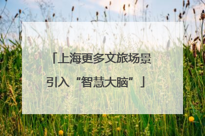 上海更多文旅场景引入“智慧大脑”