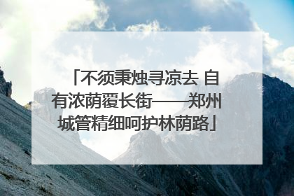不须秉烛寻凉去 自有浓荫覆长街——郑州城管精细呵护林荫路