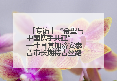 专访丨“希望与中国携手共建”——土耳其加济安泰普市长期待古丝路重镇焕发新活力