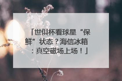 世俱杯看球星“保鲜”状态？海信冰箱：真空磁场上场！