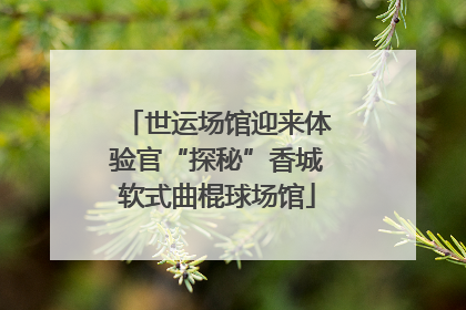 世运场馆迎来体验官“探秘”香城软式曲棍球场馆