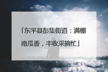 东平县彭集街道：满棚南瓜香，丰收采摘忙