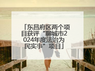 东昌府区两个项目获评“聊城市2024年度法治为民实事”项目