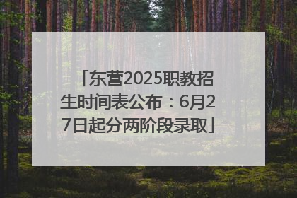 东营2025职教招生时间表公布：6月27日起分两阶段录取