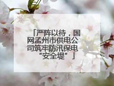 严阵以待，国网孟州市供电公司筑牢防汛保电“安全堤”