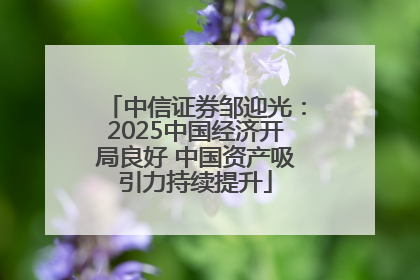 中信证券邹迎光：2025中国经济开局良好 中国资产吸引力持续提升