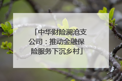中华财险澜沧支公司：推动金融保险服务下沉乡村