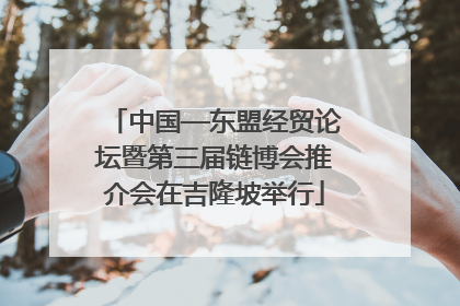 中国—东盟经贸论坛暨第三届链博会推介会在吉隆坡举行