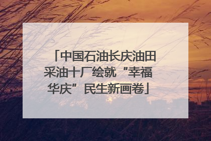 中国石油长庆油田采油十厂绘就“幸福华庆”民生新画卷