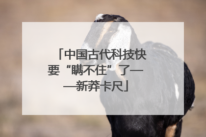 中国古代科技快要“瞒不住”了——新莽卡尺