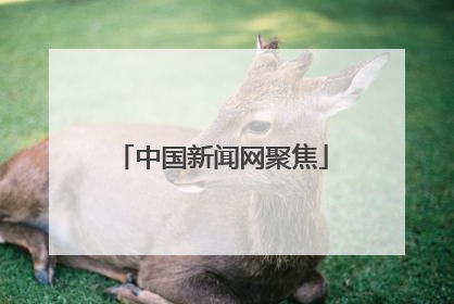 中国新闻网聚焦