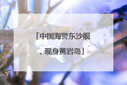 中国海警东沙舰，现身黄岩岛
