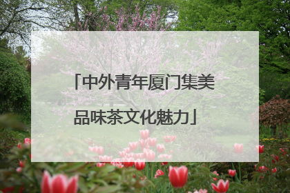 中外青年厦门集美品味茶文化魅力