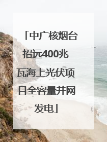 中广核烟台招远400兆瓦海上光伏项目全容量并网发电