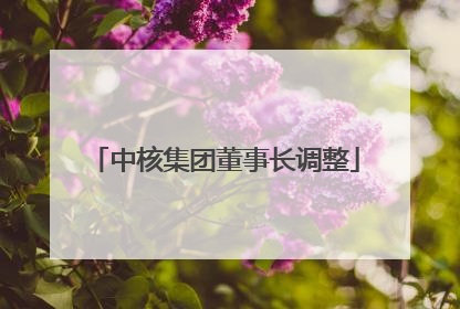 中核集团董事长调整