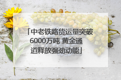 中老铁路货运量突破6000万吨 黄金通道释放强劲动能