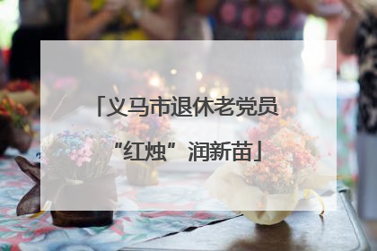 义马市退休老党员“红烛”润新苗