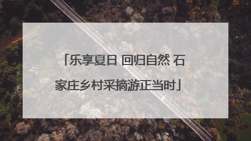 乐享夏日 回归自然 石家庄乡村采摘游正当时