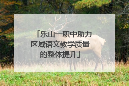 乐山一职中助力区域语文教学质量的整体提升