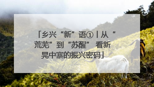 乡兴“新”语①丨从“荒芜”到“苏醒” 看新晃中寨的振兴密码