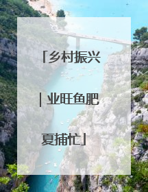 乡村振兴｜业旺鱼肥夏捕忙