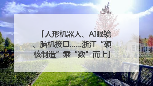 人形机器人、AI眼镜、脑机接口……浙江“硬核制造”乘“数”而上