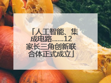 人工智能、集成电路……12家长三角创新联合体正式成立