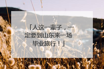 人这一辈子，一定要到山东来一场毕业旅行！
